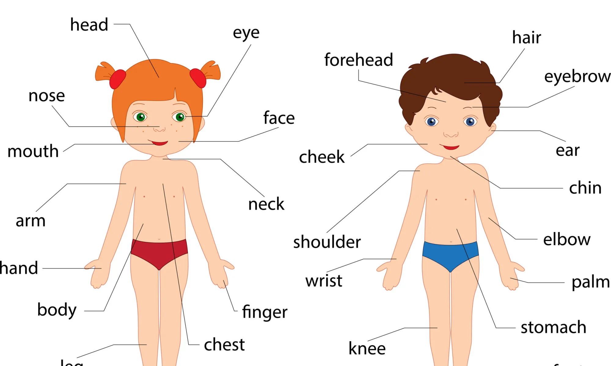 Comment enseigner aux enfants les parties du corps en anglais ?