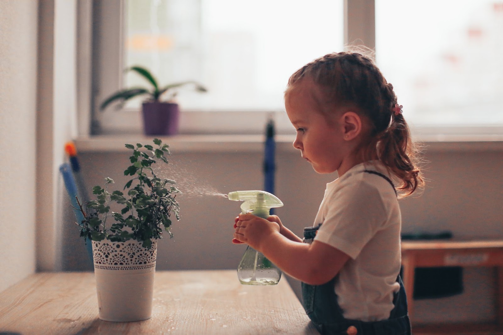 petite fille autonome arrosant une plante seule